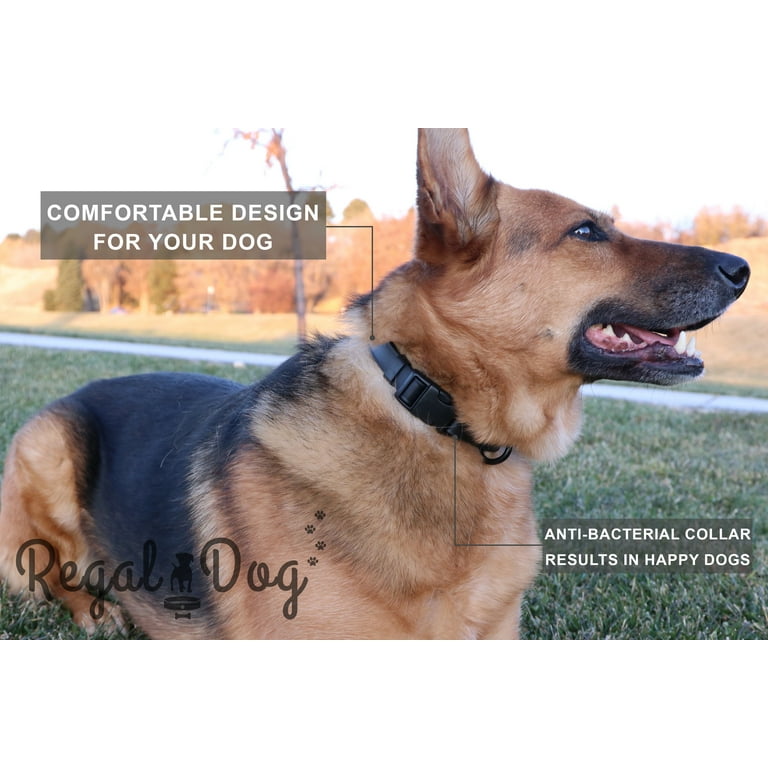 Regal Dog Products Custom Fit Dog Collar with Strong Buckle