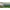 Green, variant on AMOBRO 8x4x2ft Outdoor Metal Raised Garden Bed Planter Box for Vegetables, Flowers, Herbs w/ 3 Tomato Cages Brown