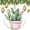 pattern-2293, variant on Christmas Ornaments Watercolor Botanical Leaf Funny Christmas Ornaments Succulent Plants Ornament Hanging Ornaments for Christmas Tree Decoration Xmas Day Home Party Decorations