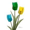 thumbnail image 3 of Koetsier, Albert 19x24 Black Modern Framed Museum Art Print Titled - Jeweled Tulip Trio 2, 3 of 5