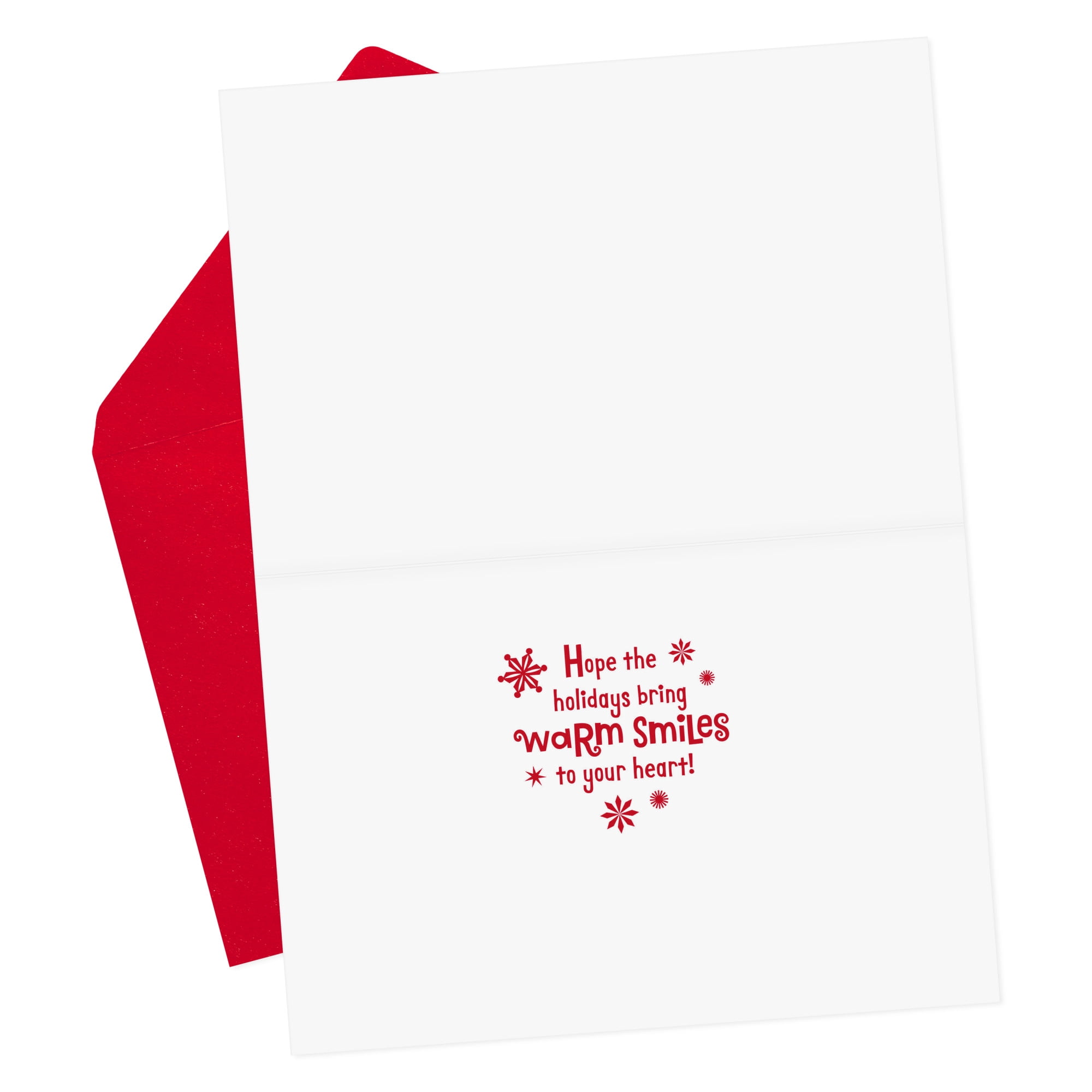 Hallmark Christmas Card (Warm Smiles Puppy Dog in Santa Hat)