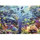 thumbnail image 1 of Rompecabezas Ravensburger Underwater Paradise 9000 piezas, 1 of 5