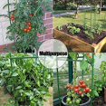 thumbnail image 3 of Conectores De Estaca Para Plantas De Plástico Ajustables, 12 Uds., Soporte Para Plantas De Interior, Estacas Para Plantas De Jardín, Varilla De Conexión Para Jardinería Diy Sweethay HA034530-00, 3 of 6