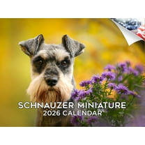 2025 2026 Miniature Schnauzer Calendar - Dog Breed Monthly Wall Calendar - 12 x 18 Open - Thick No-Bleed Paper - Giftable - Academic Teacher's Planner Calendar Organizing & Planning