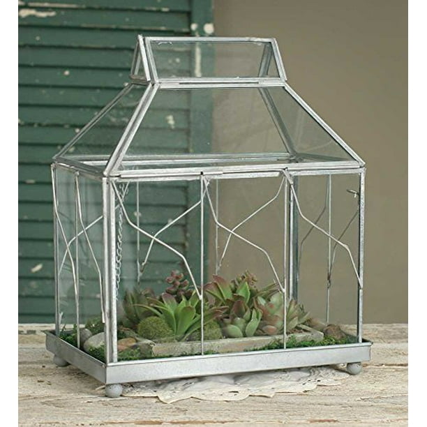 Table Top Terrarium from Colonial Tin Works