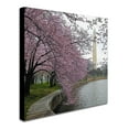 thumbnail image 3 of Trademark Fine Art "Washington Blossoms" Canvas Art by CATeyes, 3 of 4