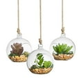 thumbnail image 3 of Shisuyan 4PCS Transparent Hanging Glass Vase Ball Shape Flower Plants Terrarium Vase Flat Base Container Landscape DIY Wedding Home Decoration - 100mm, 3 of 8