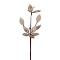 thumbnail image 1 of Vickerman EH210518 Vaporisateur Poinsettia 7 Po., Naturel - Lot de 4, 1 of 1