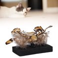 thumbnail image 1 of Interactive Cat Toy 3Pcs Pet Feather Toy Feather Cat Scratching Toy For Pet Kitten Cat, 1 of 8