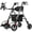 Grey, variant on Walkers for Seniors, 2 in 1 Rollator Wheelchairs Combo 10" Big Wheels Walker with Seat, Rollator Transport Chair with Brakes Folding Rolling Walker for Adults, Black