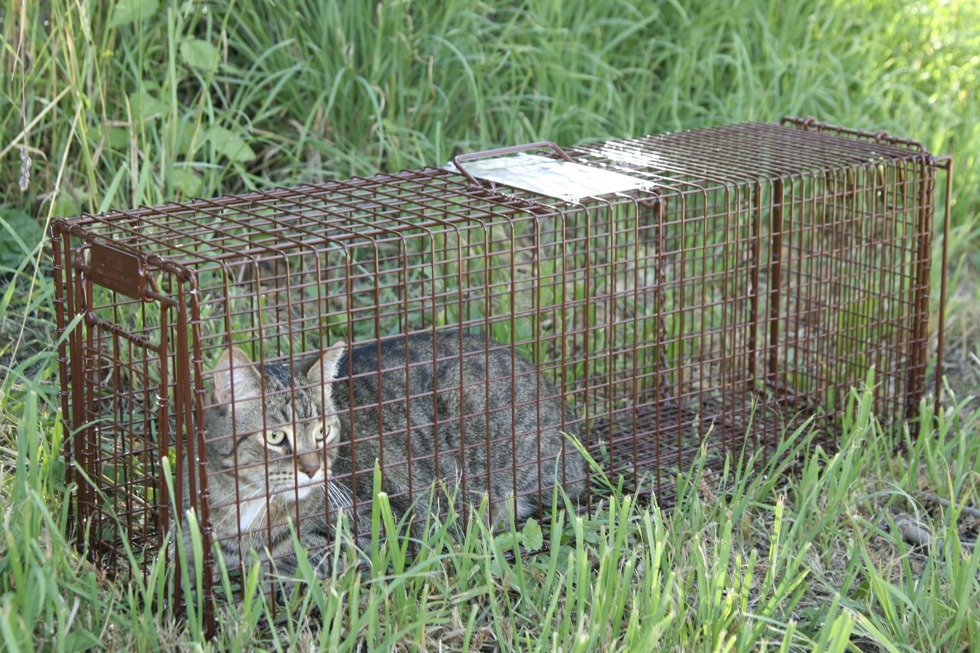 Tru Catch Traps Gravity Locking 2-Door Live Animal Trap Mesh