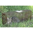 thumbnail image 5 of Tru Catch Traps Gravity Locking 2-Door Live Animal Trap Mesh, 5 of 5