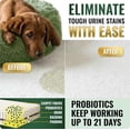 thumbnail image 2 of Enzymatic cleaner (1 gallon bottle) suitable for daily use in pet-loving homes – eco-friendly probiotic deodorizer, removes dog and cat urine, safe for septic tank drainage cleaning – fresh citrus sc, 2 of 4