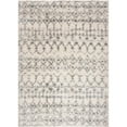 thumbnail image 2 of Rug Branch Contemporary Boho Shag Beige Grey Indoor Area Rug - 5x7, 2 of 5