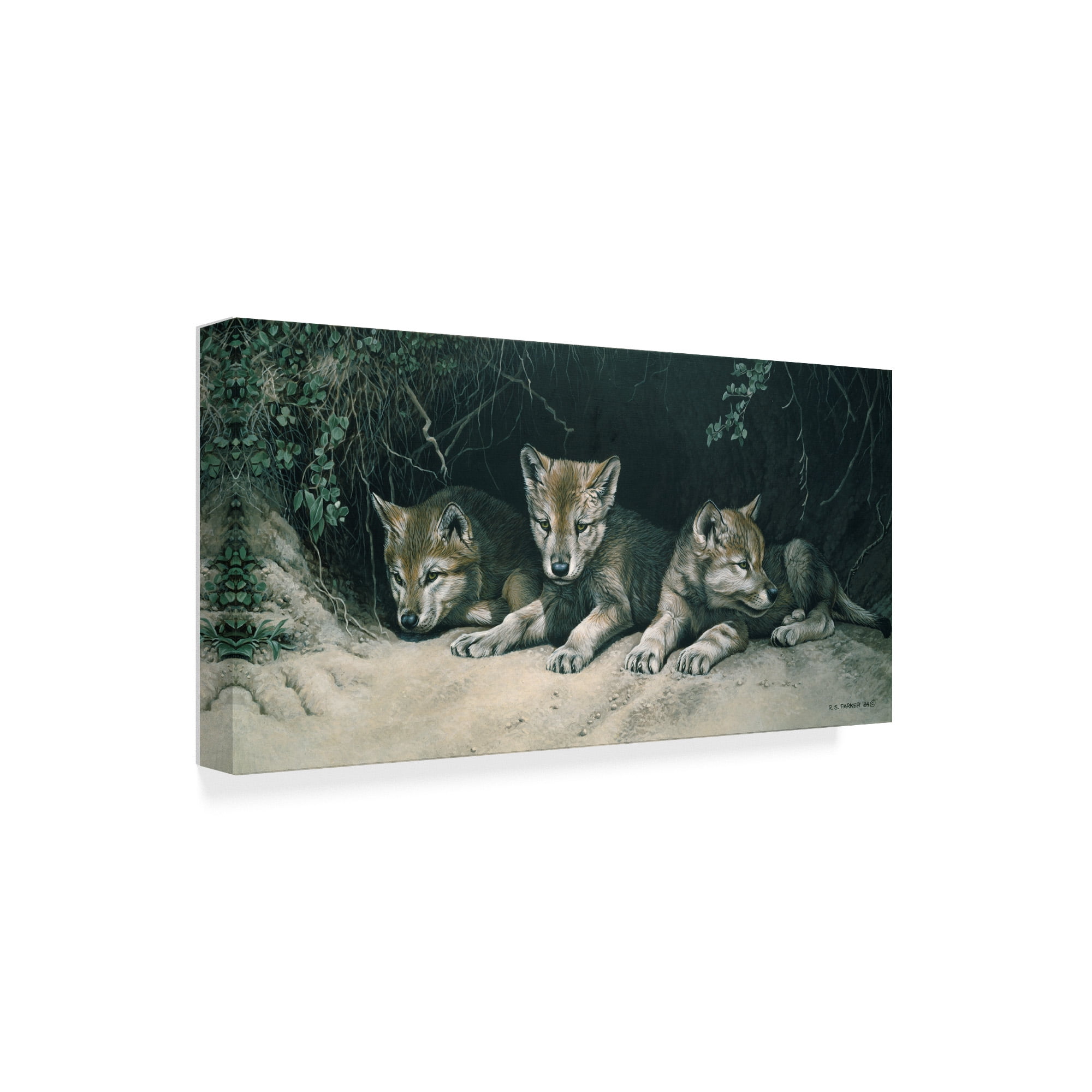 Trademark Fine Art 'Three Little Wolves' Canvas Art by Ron Parker