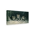 thumbnail image 2 of Trademark Fine Art 'Three Little Wolves' Canvas Art by Ron Parker, 2 of 3
