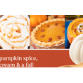 thumbnail image 4 of Yankee Candle Car Jar Ultimate Hanging Car Air Fresheners, Spiced Pumpkin, 0.96 oz (Pack of 4), 4 of 5