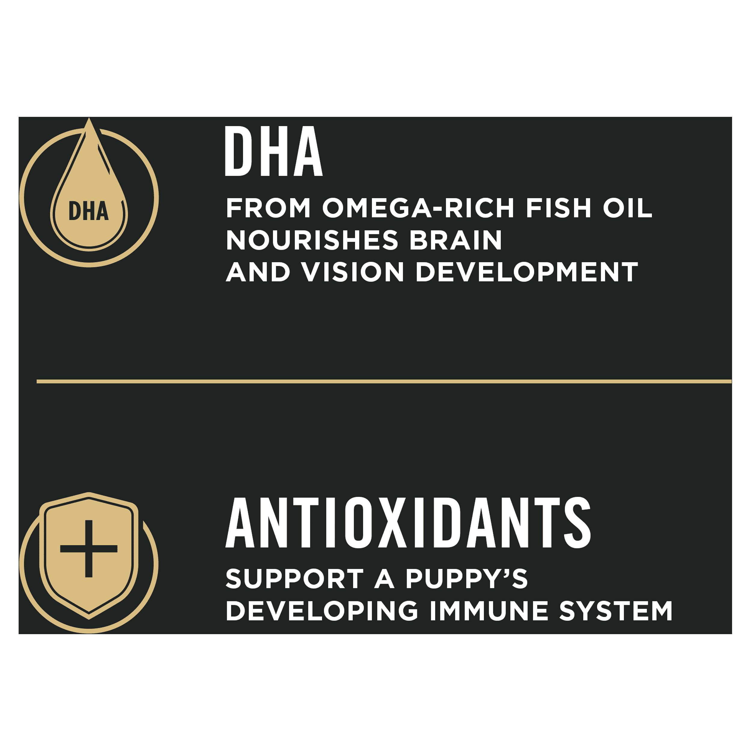 Purina pro plan puppy salmon and rice cheap