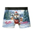 thumbnail image 2 of Hello Welcome Winter The Ski Shiba Inu Snowy Day All Over Print Boxer Briefs Underwear for Men Dad Shibas Dog Lovers Gifts Idea - 13013, 2 of 6