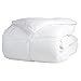 thumbnail image 3 of Superior Brushed Microfiber Solid Comforter, Down Alternative Bedding, Reversible, Medium Weight, Fluffy, Decorative, Duvet Insert, Oversized Blanket, Box Quilt Design, Twin/Twin XL, White, 3 of 4
