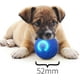 thumbnail image 2 of 2PCS Shaky Ball Toy for Dogs, Shaky Dog Vibrating Ball, Dog Ball, Automatic Moving Toy (BuleOrange), 2 of 4