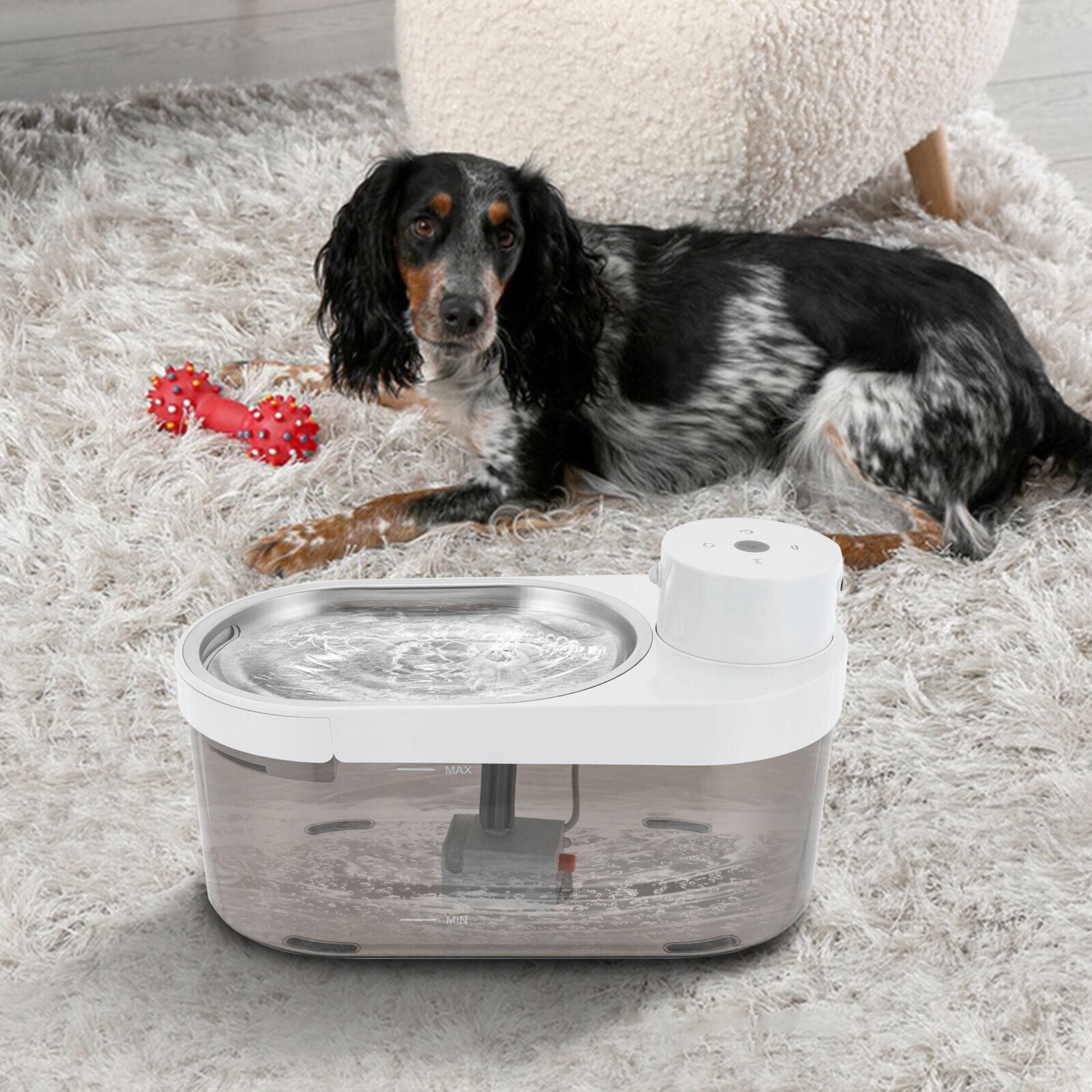 Pet Water Fountain for Cats & Dogs, 1.06 Gallon Capacity, Stainless Steel, Low Noise, Cordless, 3 Water Modes, Includes 2 Filters & USB Cable