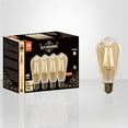 thumbnail image 2 of Xtricity - Ensemble de 4 Ampoules LED à l'Ancienne, 5W, Base E26, 2200K Blanc Doux, 2 of 2