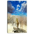 thumbnail image 2 of Leopard Feeding on Tree Trunk - Extra Large African Canvas Art Print, 2 of 3