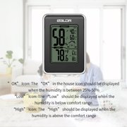 BALDR Trendy Thermo-Hygrometer Indicator