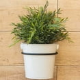 thumbnail image 2 of Inteprter Soporte para plantas de 3 piezas, soporte para maceta de pared de repuesto preperforado Jardín y Patio 11CM, 2 of 6