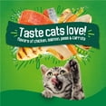 thumbnail image 6 of (2 pack) Purina Friskies Indoor Delights Dry Cat Food Flavors of Chicken, Salmon, Peas, and Carrots, 3.15 lb Bag, 6 of 12