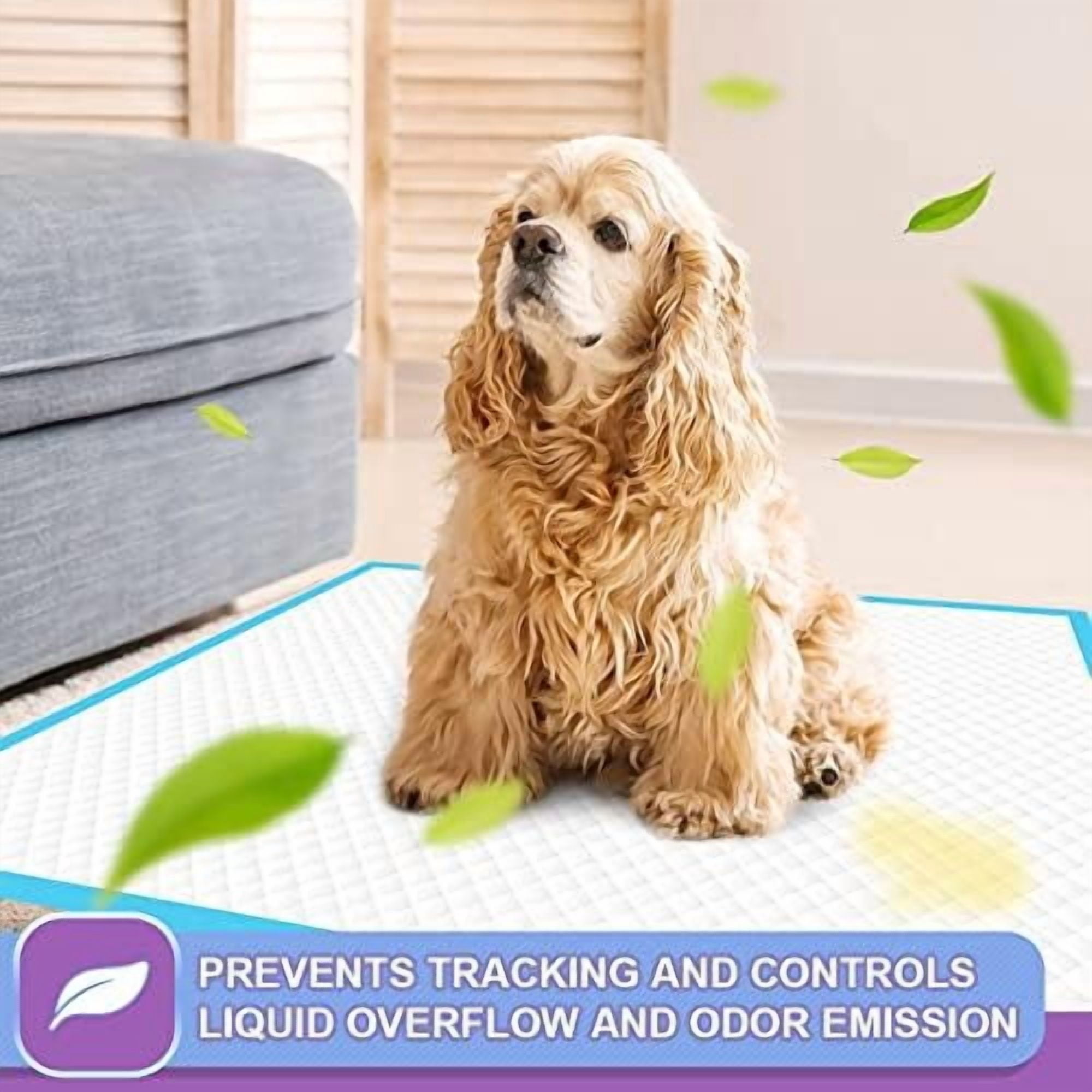 Puppy Pee Pads 22"x23"-80Count | Dog Pee Training Pads Super Absorbent & Leak-Proof | Disposable Pet Piddle and Potty Pads for Puppies | Dogs | Doggie| Cats | Rabbits