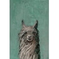 thumbnail image 2 of Shaggy Llama III Painting Print on Wrapped Canvas, 2 of 7