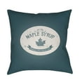 thumbnail image 1 of Surya Maple Syrup Outdoor Pillow, 1 of 2