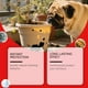 thumbnail image 5 of Pet Dog Chew Spray Furniture Spray Dog Nasty Lick Bitter Spray, 5 of 9
