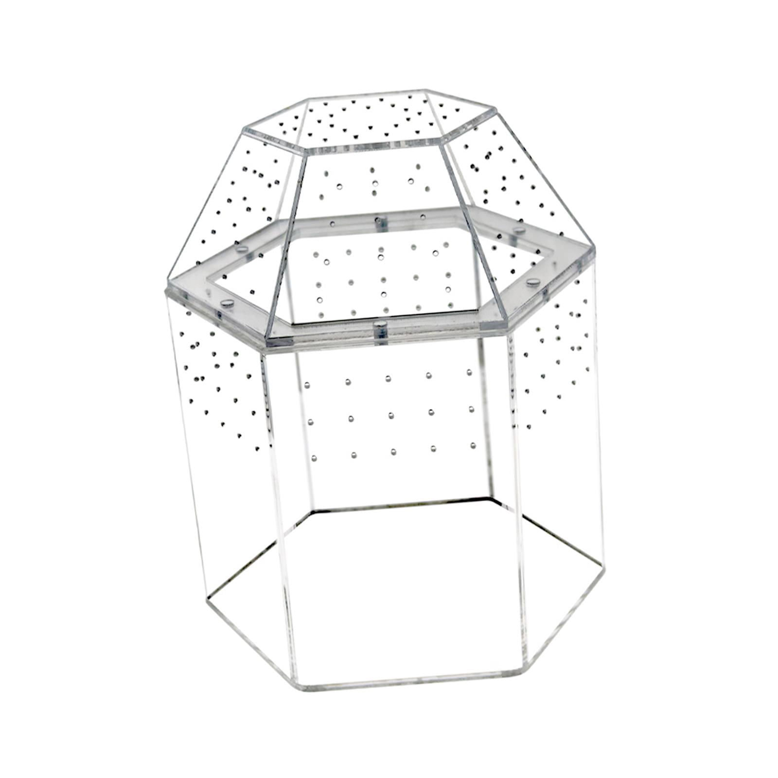 Reptile Tank Tarantula Enclosure Small Breeding Box Lightweight Acrylic Construction Suitable for Display and Desk Decor