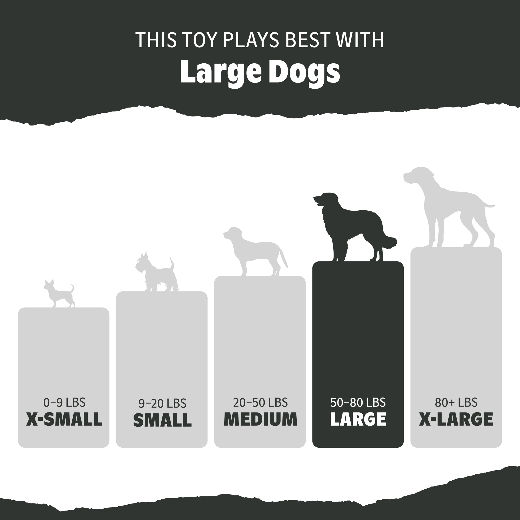 I-Squeak Cone Interactive Dog Toy for Durable Fun