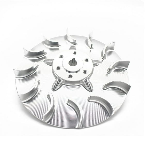Motorcycle Fan Replaces Accessories for Primavera Plating