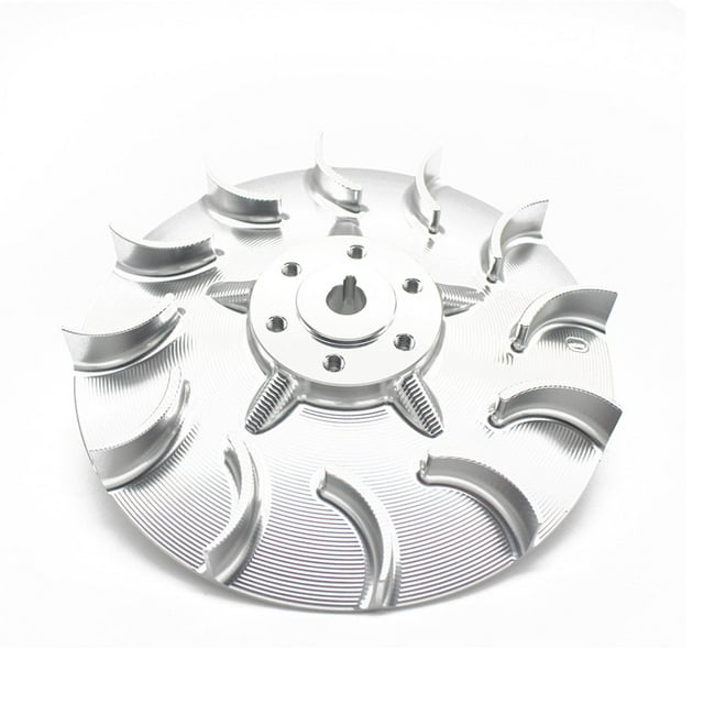koolsoo Motorcycle Radiator Fan Accessory for Primavera 50 125 150 Plating