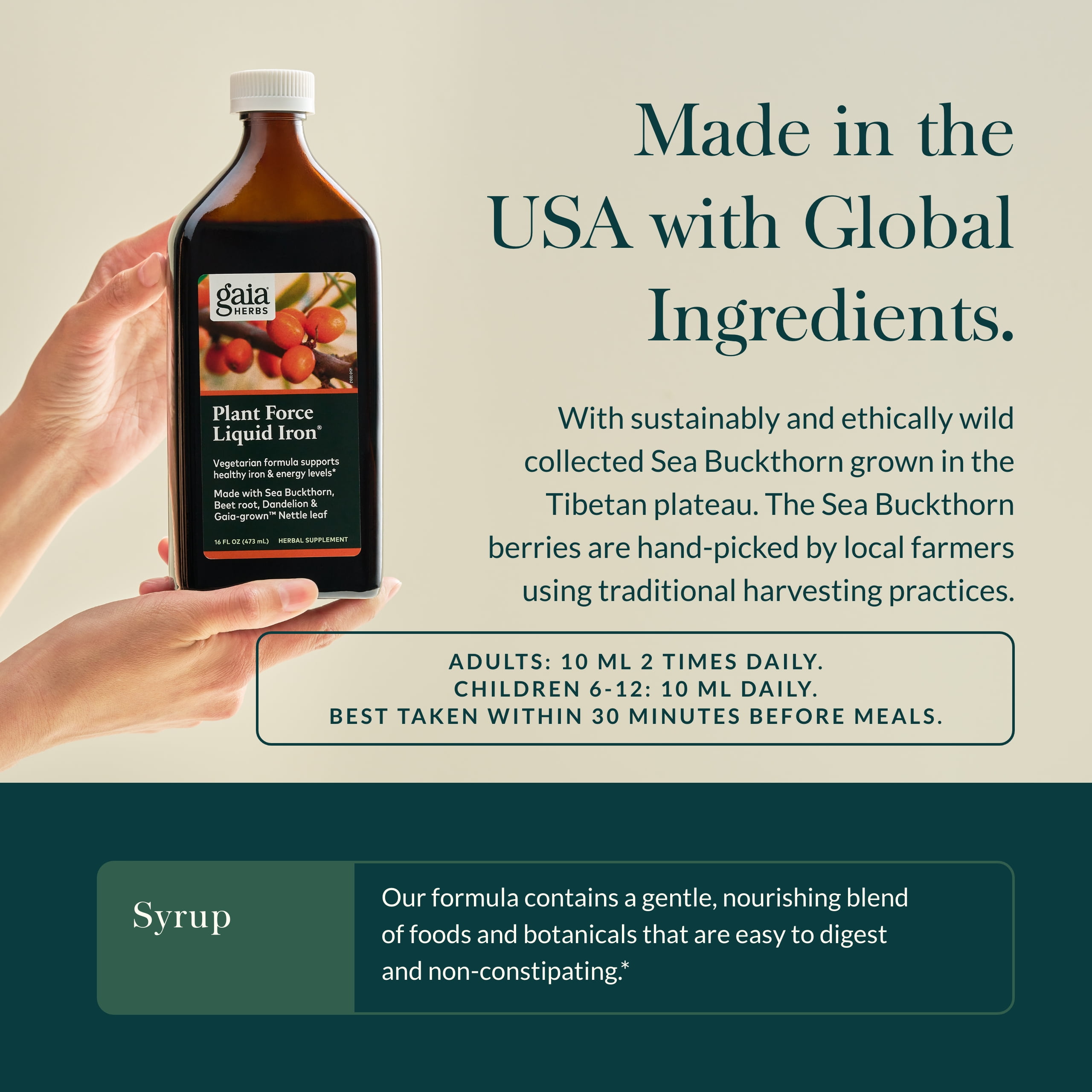 Gaia Herbs Plant Force Liquid Iron - Vegetarian Iron Supplement to Help Maintain Healthy Iron & Energy Levels - with Star Anise, Sea Buckthorn, Beet Root, Dandelion & Nettle - 16 Fl Oz (47 Servings)