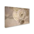 thumbnail image 3 of Trademark Fine Art Cora Niele White Persian Buttercup Still Life Canvas Wall Art - 22x32, 3 of 4
