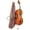 1/4 Size, variant on STENTOR Cello Outfit ST II 1/2