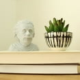 thumbnail image 2 of Clever Contraption Albert Einstein Bust – Genius-Inspired Figurine Statue, 2 of 9