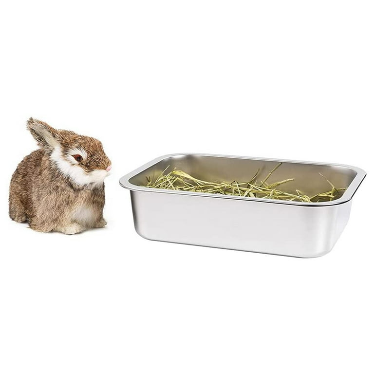 Is Cat Litter Safe For Rabbits visitchile.cl