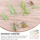 thumbnail image 5 of FELTECHELECTR 39 piezas de modelos de simulación de juguetes de insectos falsos, divertidos materiales didácticos para niños., 5 of 6