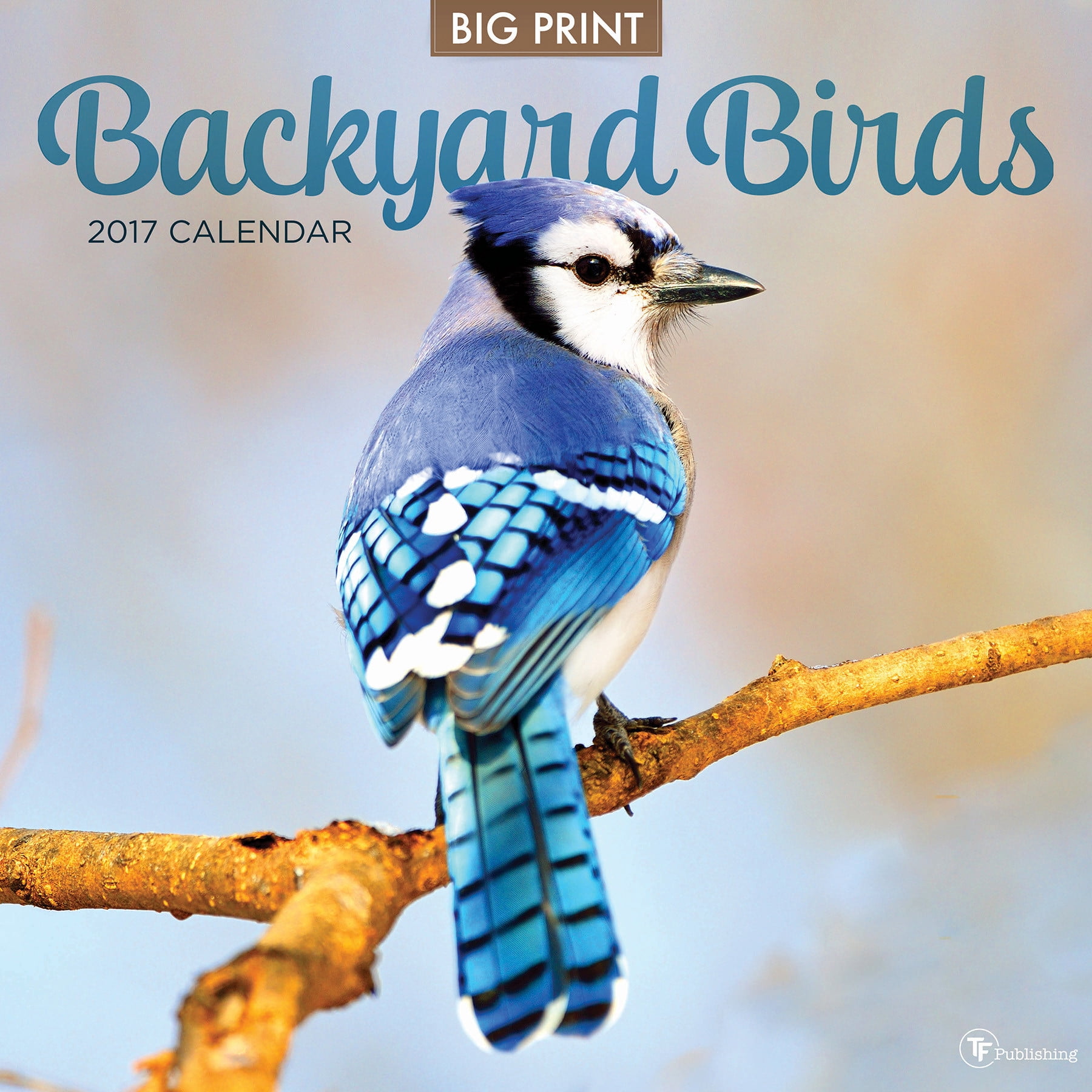 2017 Backyard Birds Wall Calendar