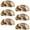 Multicolored 4, variant on PhooArto 6 Pcs Cup Drawer Pulls, Butterfly and Vintage Map Shell Shape Handles Cabinet Knobs for Dresser Cupboard Closet Wardrobe with Screws