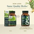 thumbnail image 6 of Gaia Herbs Ginkgo Leaf - Traditionally Used to Support Healthy Circulation & Brain Function* - Herbal Supplement - 60 Vegan Liquid Phyto-Caps (30 Servings), 6 of 9
