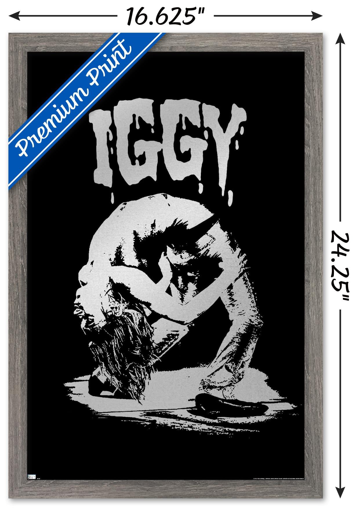 Iggy Pop - Pose Wall Poster, 14.725" x 22.375", Framed