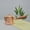400ml wooden handle, variant on Wollet Pure Copper Teapot 400ml(13oz), Small Handmade Copper Teapot, Boiling Water Tea Pot, Copper Tea Set